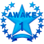 1 successful awakenings