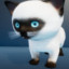 Siamese Cat Unlocked