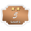 Level 5