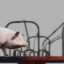 Piggy-Go-Round