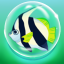 Beginner Fish Hunter