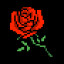 255 Roses
