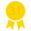 Level 31