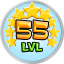 Level 55