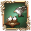 A Bird's Life