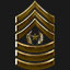 Command Sergeant Major