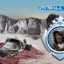 The Last Jedi