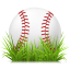 Home Run!