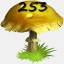Mushrooms Collected 253