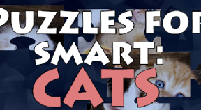 puzzles for smart  cats steam achievements