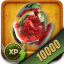 10000 Fruits