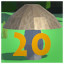 20 Mushrooms