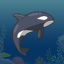 Killer whale collector