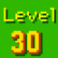 Reach Level 30