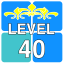 Level 40