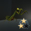 500 Mantises Killed
