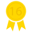 Level 16
