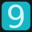 Level 9
