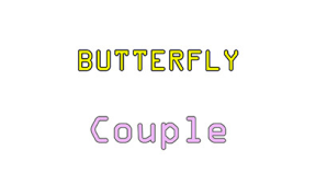 butterfly couple steam achievements