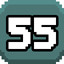 Level 55