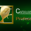 CARAVAN MODE 800,000 points