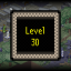Level 30