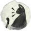 Puurrfect