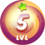 Level 5
