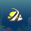 Butterfly fish fishing king