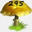 Mushrooms Collected 295