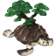 Pine Turtle