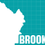 Brooklyn In The Bag