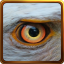 Eagle Eye