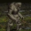 The Golem