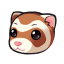 Meet a Ferret