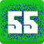Level 55