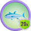 Eat 20 fish!