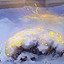 Bushes Illuminations