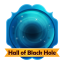 Hall of Black Hole