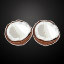 A pair of coconuts