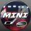 Mini-Rink