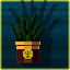 I hate plants