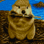 Beaver