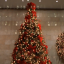 The Best Way To Spread Christmas Cheer