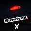 Survive 10 days!